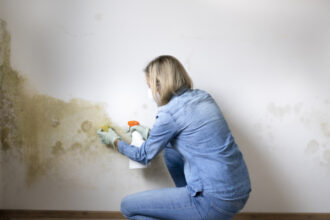 factori care favorizeaza formarea mucegaiului in locuinte cele mai simple metode de prevenire recomandate de specialisti 693e461433270