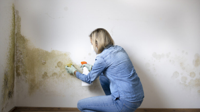 factori care favorizeaza formarea mucegaiului in locuinte cele mai simple metode de prevenire recomandate de specialisti 693e461433270
