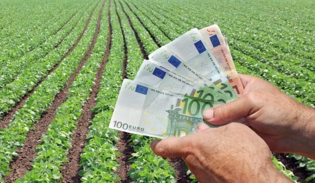 fermierii fac apel la presedintele nicusor dan sa retrimita in parlament legea impozitelor nu mai putem suporta noi scumpiri si cresteri de impozite 693ac4f21024b