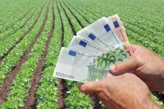 fermierii fac apel la presedintele nicusor dan sa retrimita in parlament legea impozitelor nu mai putem suporta noi scumpiri si cresteri de impozite 693ac635c2048