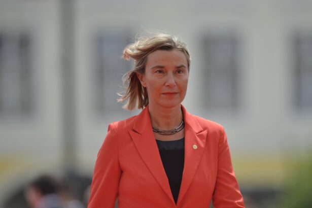 fosta sefa a politicii externe a ue a demisionat din functia de rector al colegiului europei in urma unei anchete pentru frauda 6931a17179a98