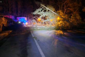 foto vant cu rafale de 110 130 km h in sinaia zeci de arbori stalpi cazuti si echipe de interventie mobilizate 694fbb8d80901