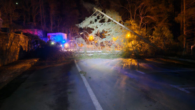foto vant cu rafale de 110 130 km h in sinaia zeci de arbori stalpi cazuti si echipe de interventie mobilizate 694fbb8d80901