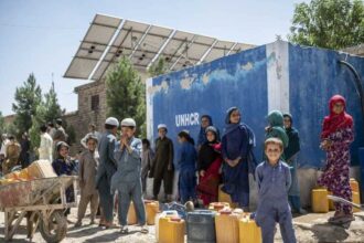 fragment de istorie 75 de ani de la inceputul functionarii inaltului comisariat pentru refugiati al onu 14 decembrie 693e5bb439856