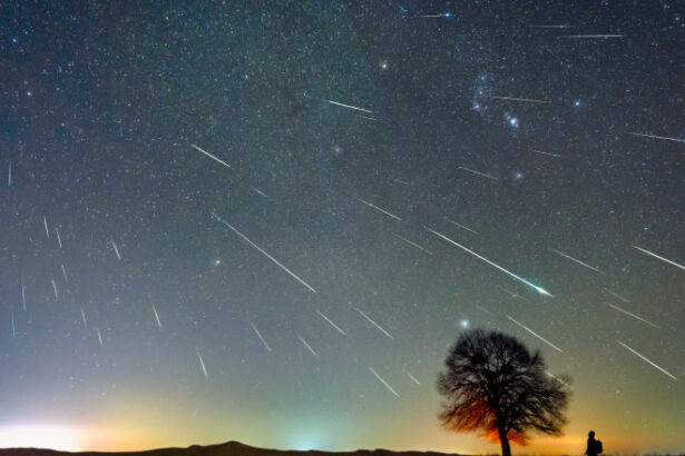geminide 2025 cand va fi vizibil fenomenul astronomic al lunii decembrie noaptea in care cerul va fi luminat de stele cazatoare 693ba1644050a