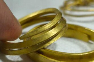 gorj bratari din aur vechi de trei milenii descoperite de un detectorist pasionat intr o padure galerie foto 693015c109833