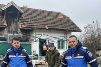 gorj jandarmii montani au capturat o pisica salbatica in curtea unui localnic din tismana 6938243d0593c