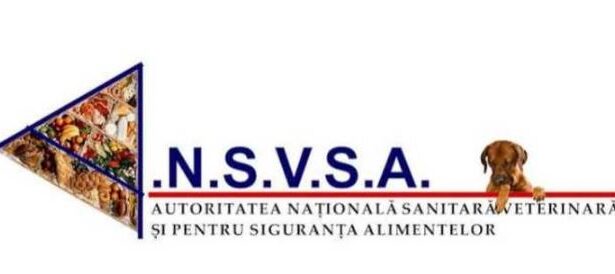 guvern bugetul ansvsa pe anul 2025 suplimentat cu peste 100 milioane de lei 694b144e421b7