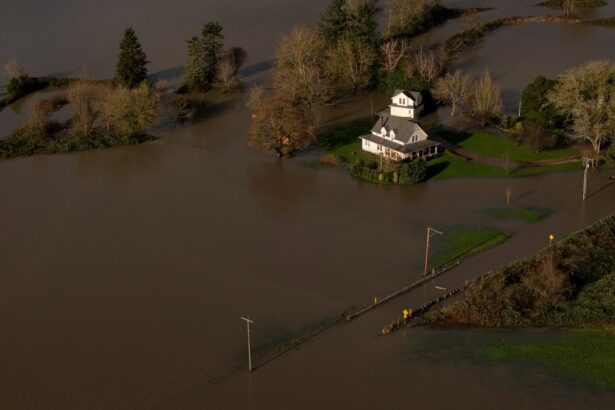 heavy rain in us pacific north west brings fears of further flooding 6939b1ca87047