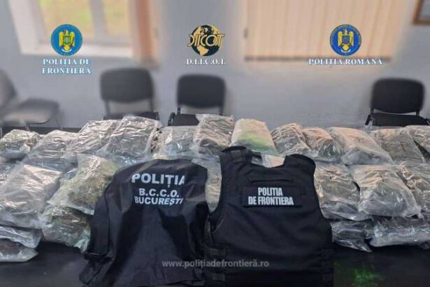 igpf turc arestat dupa ce a fost prins la frontiera ruse giurgiu cu 37 de kilograme de canabis ascunse intr un camion 694172bf08b48