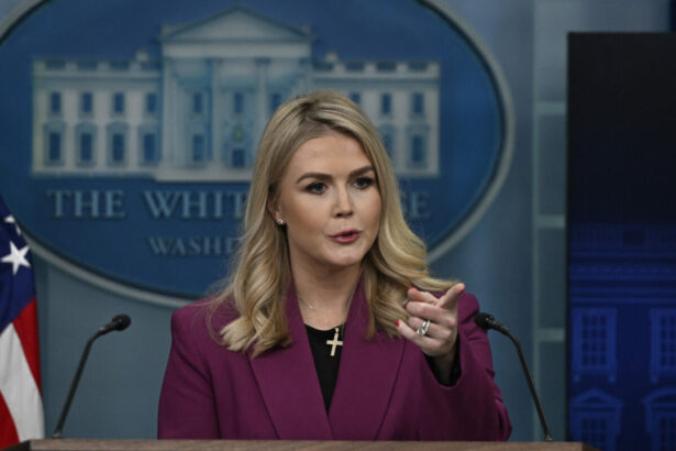 intrebari fara raspuns la casa alba privind pansamentele de pe mana lui trump 693b93e751ced