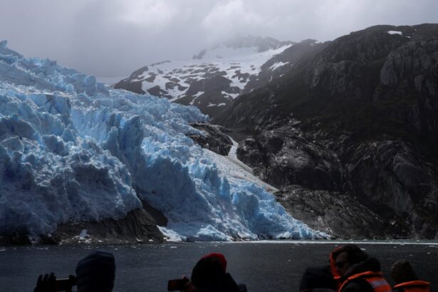 its the wildest place i have walked new national park will join up chiles 2800km wildlife corridor 694d288fdb747