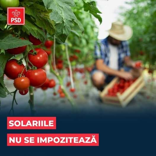 ministrul agriculturii anunta ca serele si solariile fermierilor nu vor fi impozitate 694ae7c8b5113