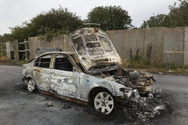 mister legat de cadavrul unui tanar descoperit intr o masina incendiata la viena ar putea fi fiul unui politician ucrainean 692dae0e19900