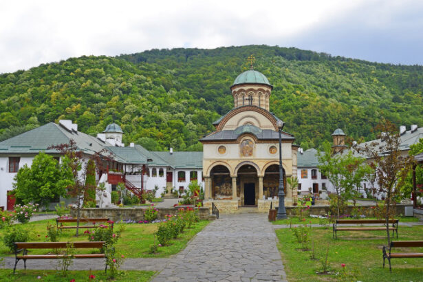 mormantul lui mircea cel batran de la manastirea cozia a fost redeschis dupa un secol 6939cbfddb82a