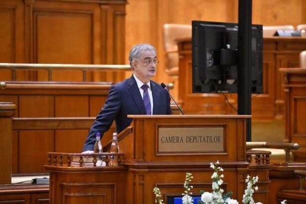 motiunea de cenzura gabriel andronache pnl o motiune de cenzura fake realizata prin proxy adevaratii initiatori tin capul la cutie in asteptarea unor vremuri mai bune 69400d2f0d0de