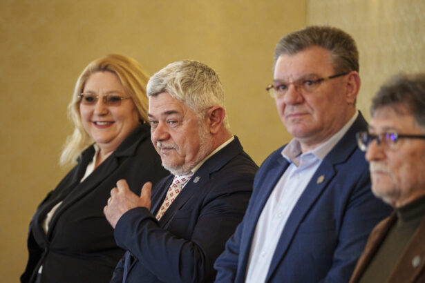 motiunea de cenzura impotriva guvernului a fost depusa mesajul lui ninel peia pentru sorin grindeanu 6932bf4dd2a3c