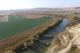 mures pasaje pentru animale pe autostrada a8 si scara pentru pesti de la barajul termocentralei iernut la initiativa ecologistilor 6939ace7ba72c