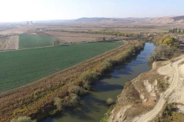 mures pasaje pentru animale pe autostrada a8 si scara pentru pesti de la barajul termocentralei iernut la initiativa ecologistilor 6939ace7ba72c