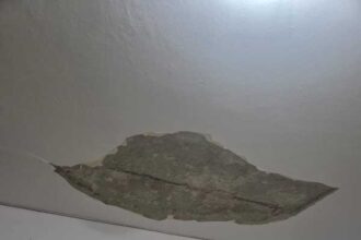 neamt cursuri online pentru o gradinita din piatra neamt dupa ce tavanul unei clase s a prabusit 693686a2c7194