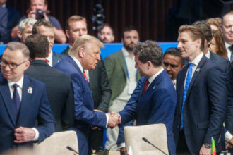 oana toiu anunta cand ar putea avea loc intalnirea dintre nicusor dan si donald trump 69459239d2cc1