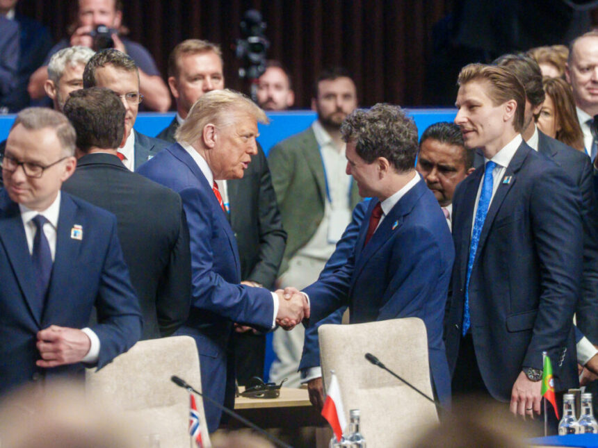 oana toiu anunta cand ar putea avea loc intalnirea dintre nicusor dan si donald trump 69459239d2cc1