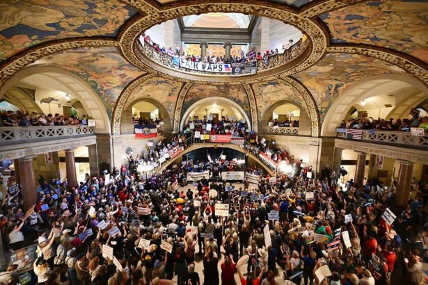 organizers submit enough signatures to block gerrymandered missouri map 6938759c8686d