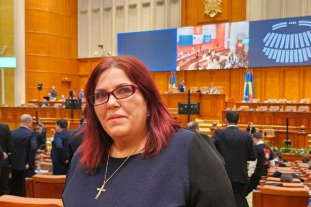 parlament motiune de cenzura ana marcela bas guvernul trebuie ajutat sa plece 69401e2c6382e