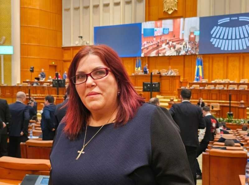 parlament motiune de cenzura ana marcela bas guvernul trebuie ajutat sa plece 69401e2c6382e
