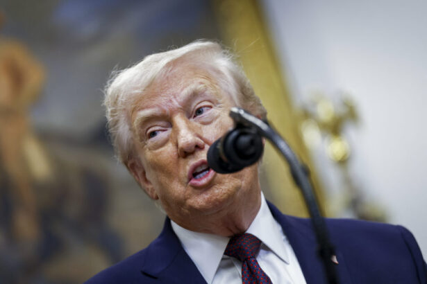 politico donald trump despre planul de pace zelenski nu are nimic pana nu aprob eu 694ef6c12618c