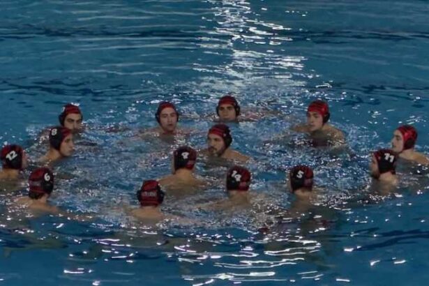 polo masculin cs dinamo invinsa fara drept de apel de cn barcelona in len euro cup 693203293fcf7