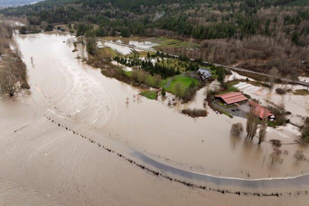 powerful storms dump heavy rain and swell rivers across us pacific north west 69388ccded045