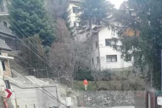 prahova arbori si stalpi doborati de vant la sinaia cod portocaliu de vant pana luni dimineata 694fb647e5532