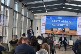 prezenta femeilor antreprenor in sectorul agricol romanesc depaseste usor media ue tinerii intreprinzatori sunt subreprezentati 692d64ade186a