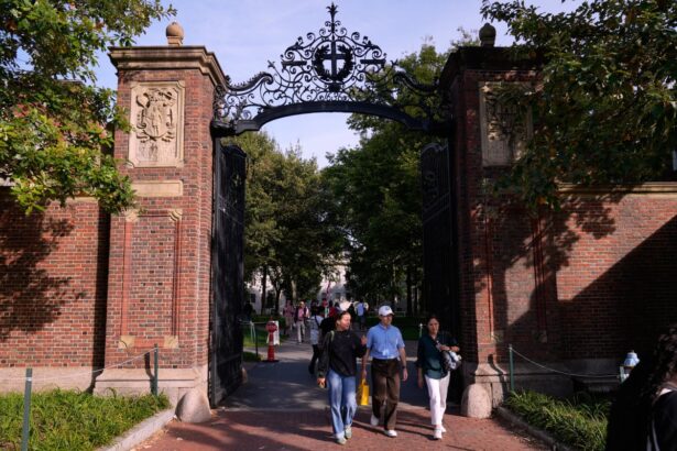 professor visiting harvard arrested by ice agrees to leave country 69336a399a5b4