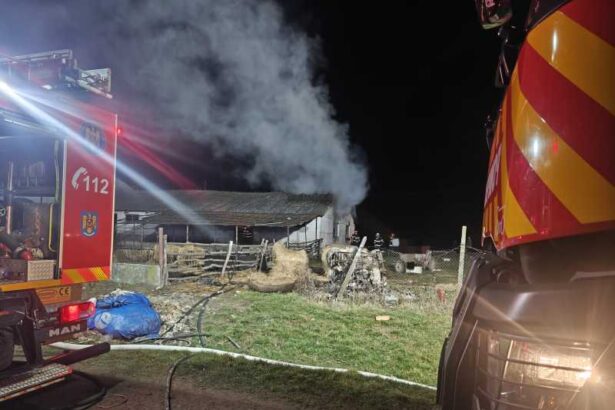 satu mare femeie cu arsuri pe 50 din corp in urma unui incendiu izbucnit intr o ferma 694b97c1acf2c