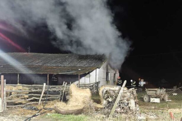 satu mare incendiul de la ferma din necopoi provocat de un barbat parchetul a demarat o ancheta 694b9c41e9df6