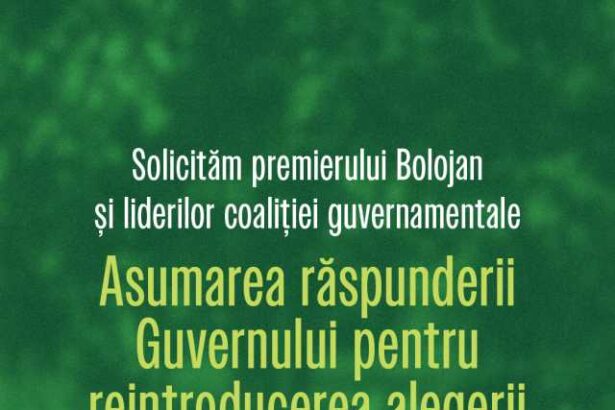 sens solicita guvernului asumarea raspunderii pentru alegerea primarilor in doua tururi 6936cf4a85454