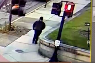 sua o persoana arestata in cadrul anchetei politiei asupra atacului de la universitatea brown 693ec51f71bd9