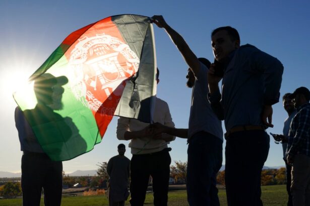 they fought for american values afghan immigrants and advocates push back against trump crackdown 693d72b5e9de1