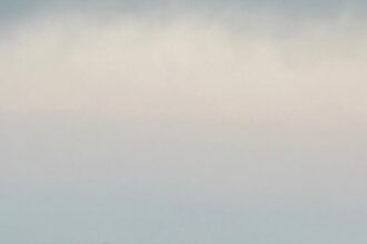 timis coloana de 11 km la intrarea in tara la vama nadlac sunt recomandate rute ocolitoare 6948161c45263