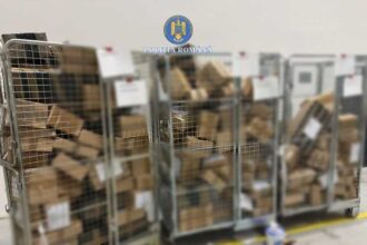 timis politistii au confiscat 15 tone de articole pirotehnice din depozitul unei firme de curierat 693b0ee1676c2