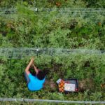 trump unveils 12bn aid package for us farmers amid tariff fallout 6937483ad5267