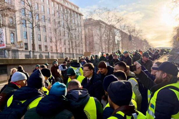 victor negrescu politica agricola comuna face parte din tratatele europene si trebuie protejata 694437a203de2