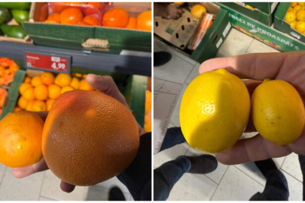 video avertisment de la directorul anpc in romania sunt vandute portocale si lamai care ar trebui date la porci 6947dadb4758b