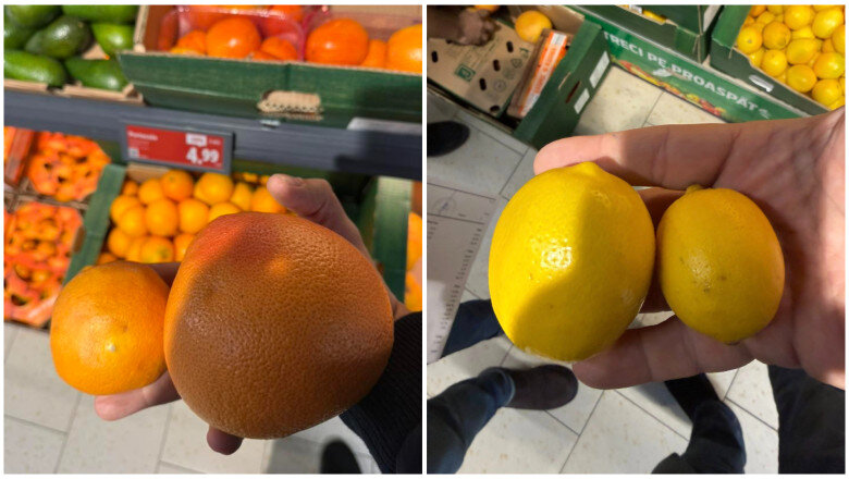 video avertisment de la directorul anpc in romania sunt vandute portocale si lamai care ar trebui date la porci 6947dadb4758b