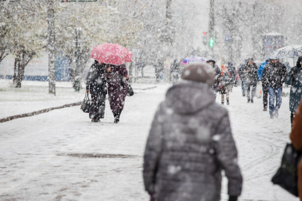 video capitala si sudul tarii sub ninsori de craciun vant puternic si temperaturi negative avertizeaza meteorologii 694bad5ea37fd