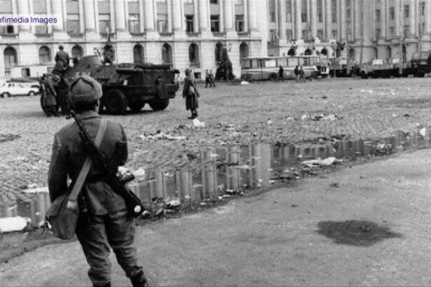 video pelerinaj pe drumul cenusii pentru eroii revolutiei de la timisoara bunica mea a fost erou martir a avut o inima mare 69466c01902f2