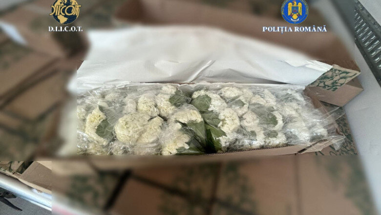 video peste 250 kg de cocaina din columbia ascunsa in transporturi de flori 4 persoane au fost trimise in judecata intr un dosar diicot 694564509ec66