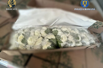video peste 250 kg de cocaina din columbia ascunsa in transporturi de flori 4 persoane au fost trimise in judecata intr un dosar diicot 694565abcd98f